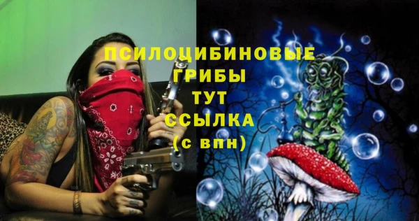 первитин Шарыпово