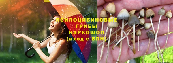 прущая мука Горняк