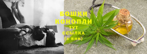 прущая мука Горняк