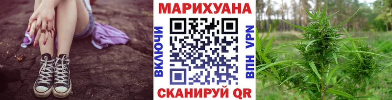Купить  Сорочинск  Канабис ГИДРОПОН 